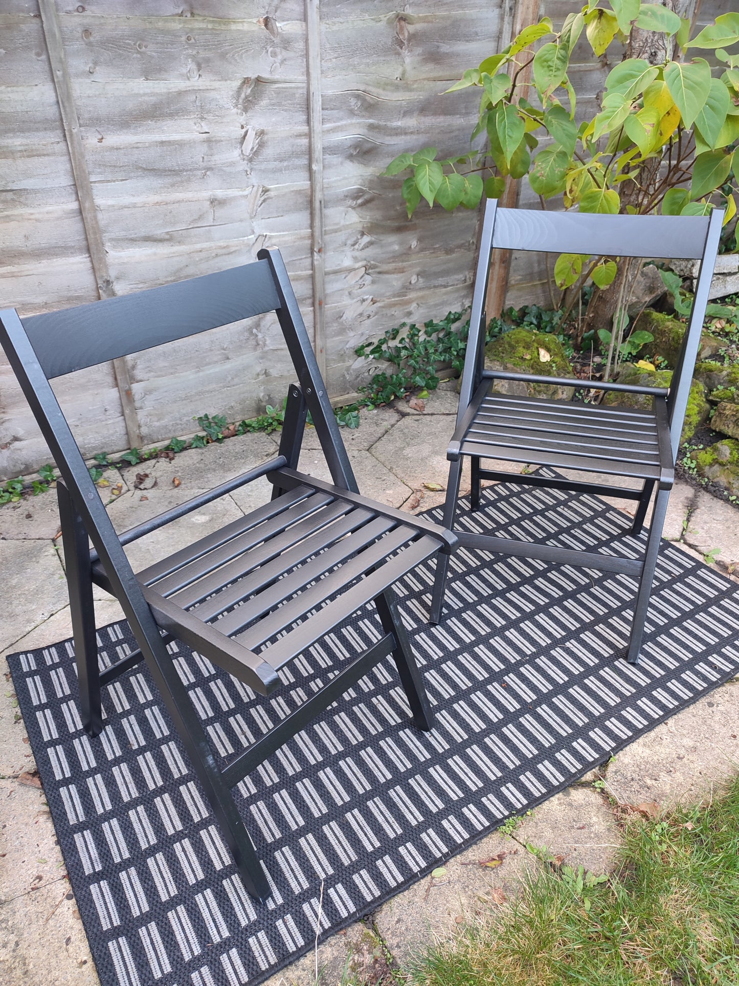Black Beech Folding Chairs