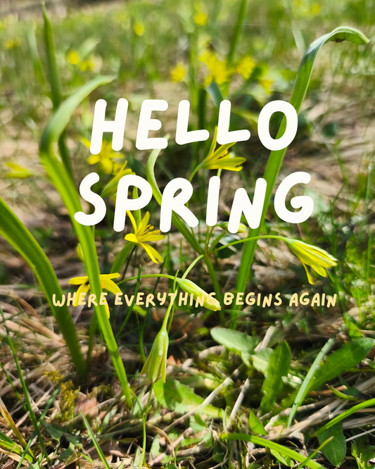 Hello Spring!